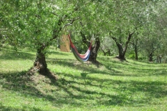 Camping_07